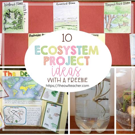 10 Ecosystem Project Ideas In 2021 Ecosystems Projects Plant Life