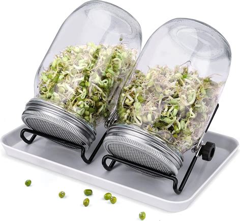 Sprouting Mason Jars Seed Sprouter Kit 2 Sprouting Mason Jars With