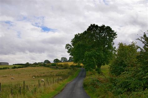 Free Stock Photo 2820 English Country Lane Freeimageslive