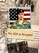 Prime Video: The USA vs Bergdahl