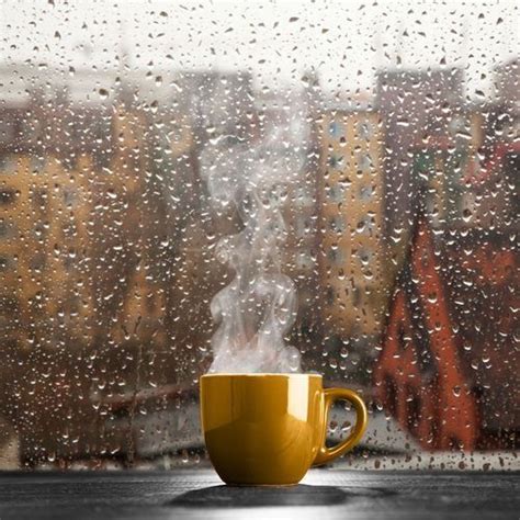 Pin By Kathleen On Coffee Rain And Coffee Rainy Day Photography