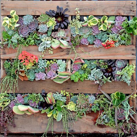 14 Awesome Diy Succulent Gardens