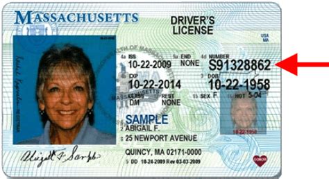 Report License Regulation Offers “new Legitimacy” To Undocumented