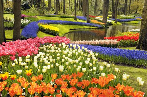 Beautiful Pictures Of Flower Gardens