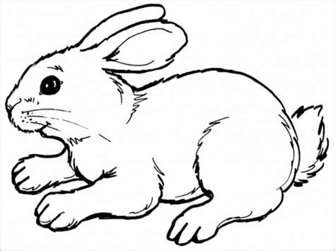 Easter Bunny Rabbit Coloring Page Coloringbay
