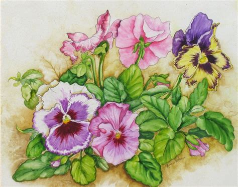 Ink And Watercolor Of Pansies Watercolor Flower Art Watercolor