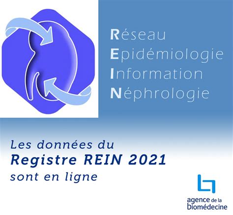 Les Donn Es Du Rapport Rein Sont En Ligne France Rein