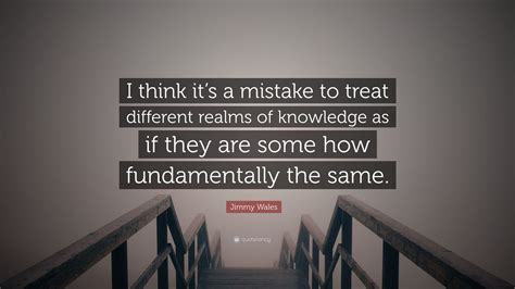 Jimmy Wales Quote I Think Its A Mistake To Treat Different Realms Of