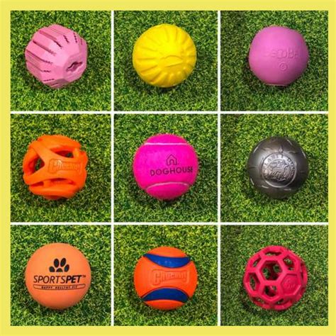 The 9 Best Dog Balls Our Top Pick Doghouse