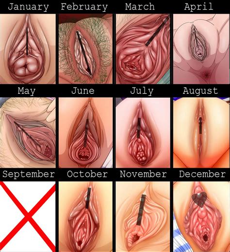 Rule 34 Anal Anus Censor Bar Censored Clitoris Close Up