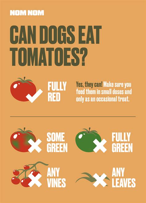 Are Tomato Leaves Bad For Dogs