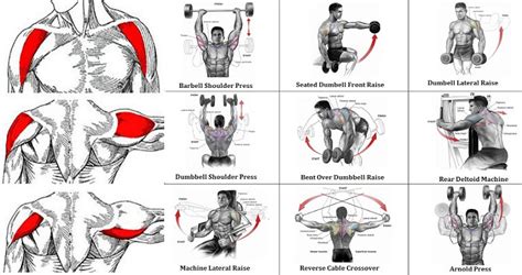 The Most Effective Shoulder Exercise All