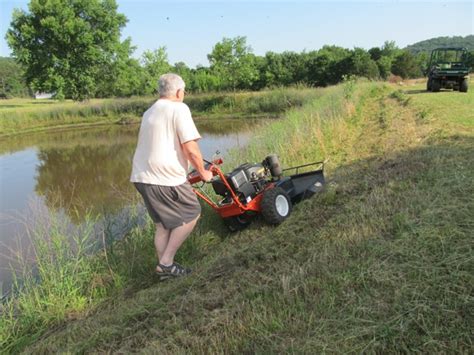 Galla Feist Squirrel Dog Hunting Photo Gallery Pond Bank Mower