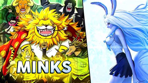 Minks Explicando A Ra A Dos Minks E A Transforma O Sulong One Piece Youtube