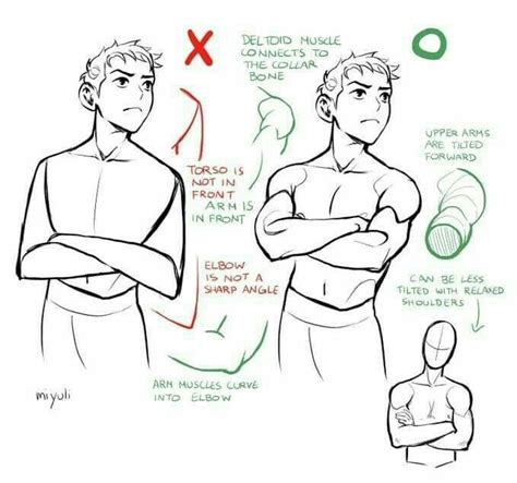 Pin By Gray On Referencias Para Dibujos Cuerpoetc Anatomy Art