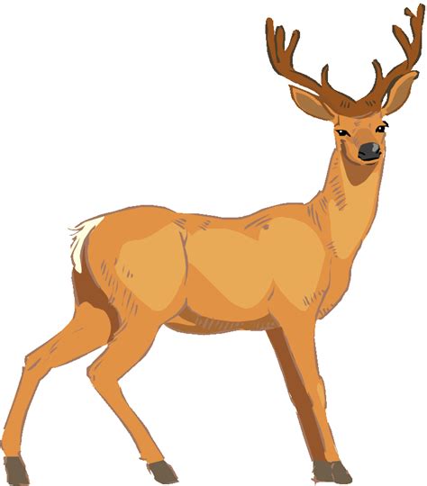 Free Deer Clip Art Pictures Clipartix