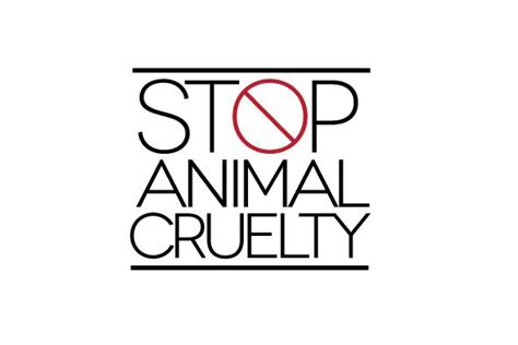 Animal Cruelty Boonton Nj