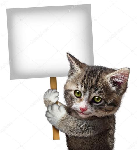 Cat Holding Sign — Stock Photo © Lightsource 25595013