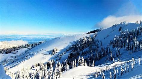 5 Fun Winter Activities In Olympic National Park Nations Vacation