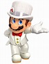 White Mario | Super mario art, Mario art, Super mario
