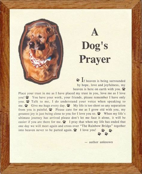 Experiencing grief when a pet goes to the rainbow bridge. 14 best A Dog's Prayer images on Pinterest | Thoughts, Fur ...