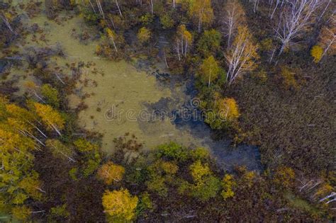 Nature And Landscape Aerial View Of Forest And Lakes Autumn Leaves
