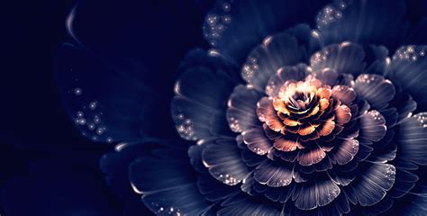 Fractal Flores Fractales Fractal 3d Fondo De Pantalla Hd