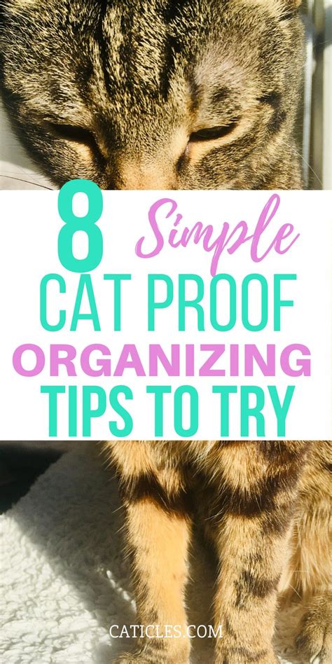 Want To Cat Proof Your Home Get These 8 Extremely Simple Fixes Cat