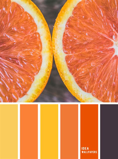Orange Color Scheme Orange Yellow Dark Grey Purple Color Palette