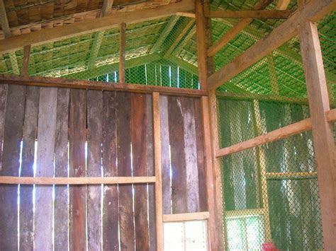 The Balay Kubo Nipa Hut Backyard Chickens Community