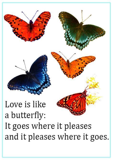 Cute Love Sayings Butterflies And Text Butterfly Quotes Butterfly