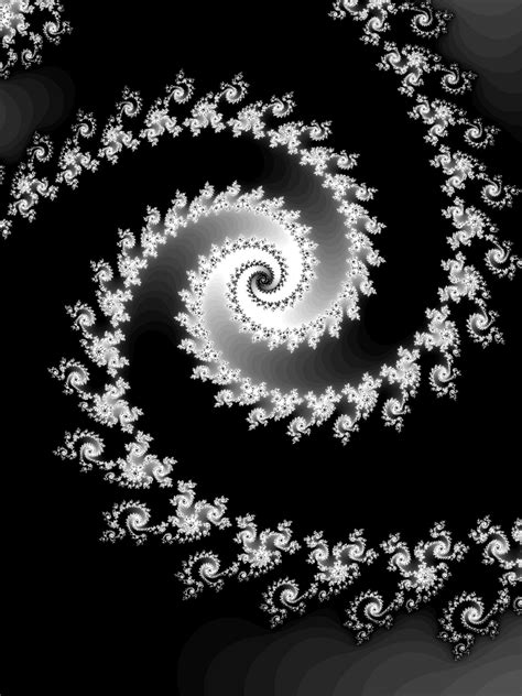 Fractal Spiral Free Stock Photo Public Domain Pictures