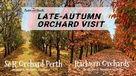 Late Autumn Orchard Visits Sandr Orchard Perth Raeburn Orchards