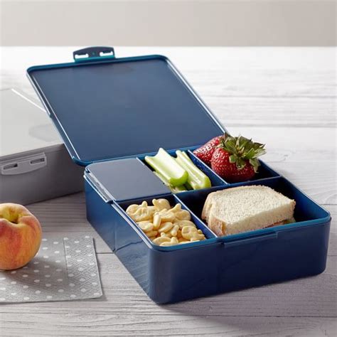 Bento Box Lunch Container Pbteen