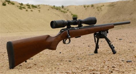 4 Best17 Hmr Rifle For Small And Accuracy Targets 2022