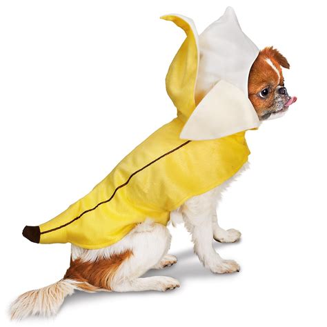 Petco Banana Halloween Dog Costume For My Annie Ba Nannie Pet