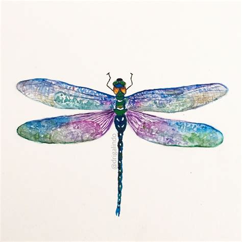 Copyright By Adriana Galindo Dragonfly Watercolor Illustration