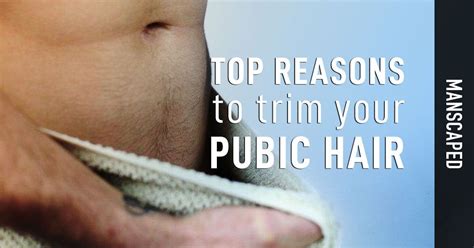 Top Reasons To Trim Your Pubic Hair Manscaped™ Blog