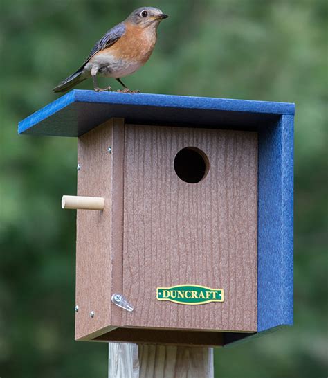 Duncraft Wind Block Bluebird House