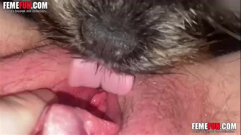 Dog Licks Her Big Clit And Makes Her Cum Hard Xxx Femefun