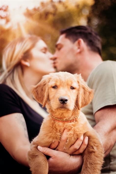 Couples & Dog Session // Golden Retriever // Pet photography // Couples