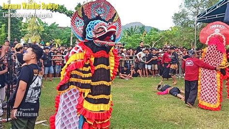 Solah Barongan Apik Klasikan Tulungagung Jaranan Wandhe Budoyo Live