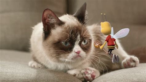 Ad Of The Day Grumpy Cat Gets Stung By The Honey Nut
