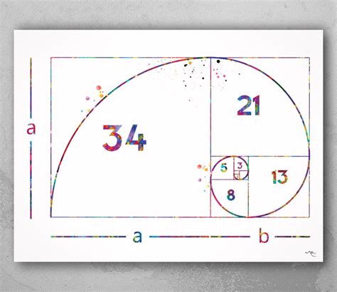 Golden Ratio Fibonacci Spiral Watercolor Print Fibonacci Sequence Hot Sex Picture