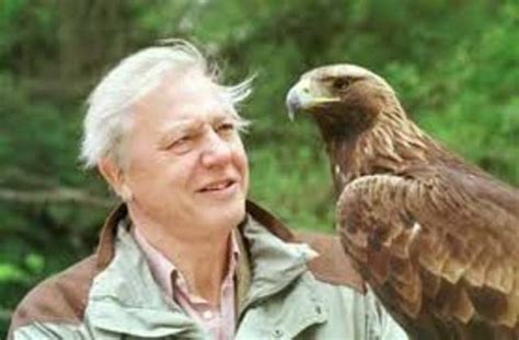 Attenborough is one of the two children in the family. David Attenborough timeline | Timetoast timelines