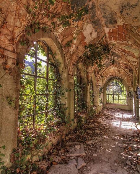 Beautiful Abandoned Places On Instagram “overgrown Hallway In Europe Photographer Unknown Dm