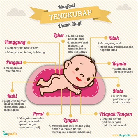Manfaat Tengkurap Untuk Bayi Infografis Ibupedia