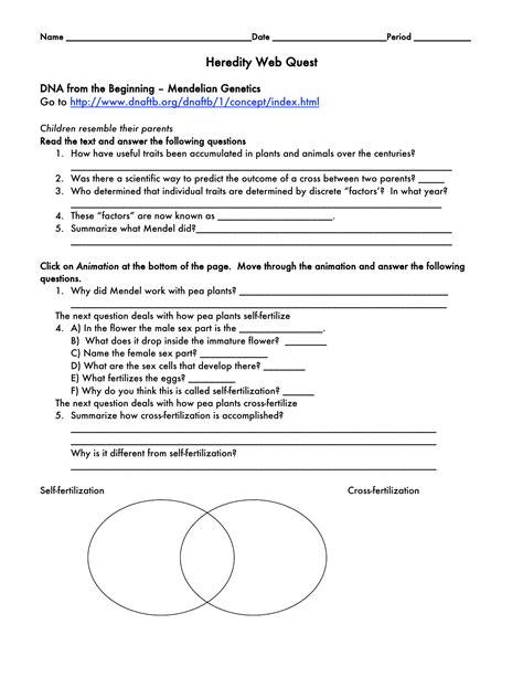 If the offspring of a test cross all have the dominant trait, then the genotype of the individual being tested is homozygous dominant. Genetics Webquest Worksheet Answers