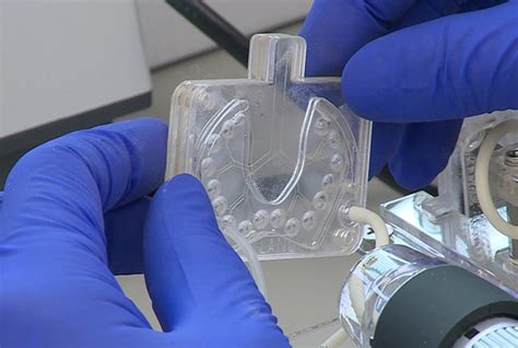Tissue Engineered Artificial Lung That Mimics The Response Of The Human