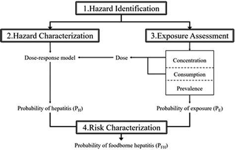 Flow Diagram Of Four Step Risk Assessment Of Hav And Hev Download